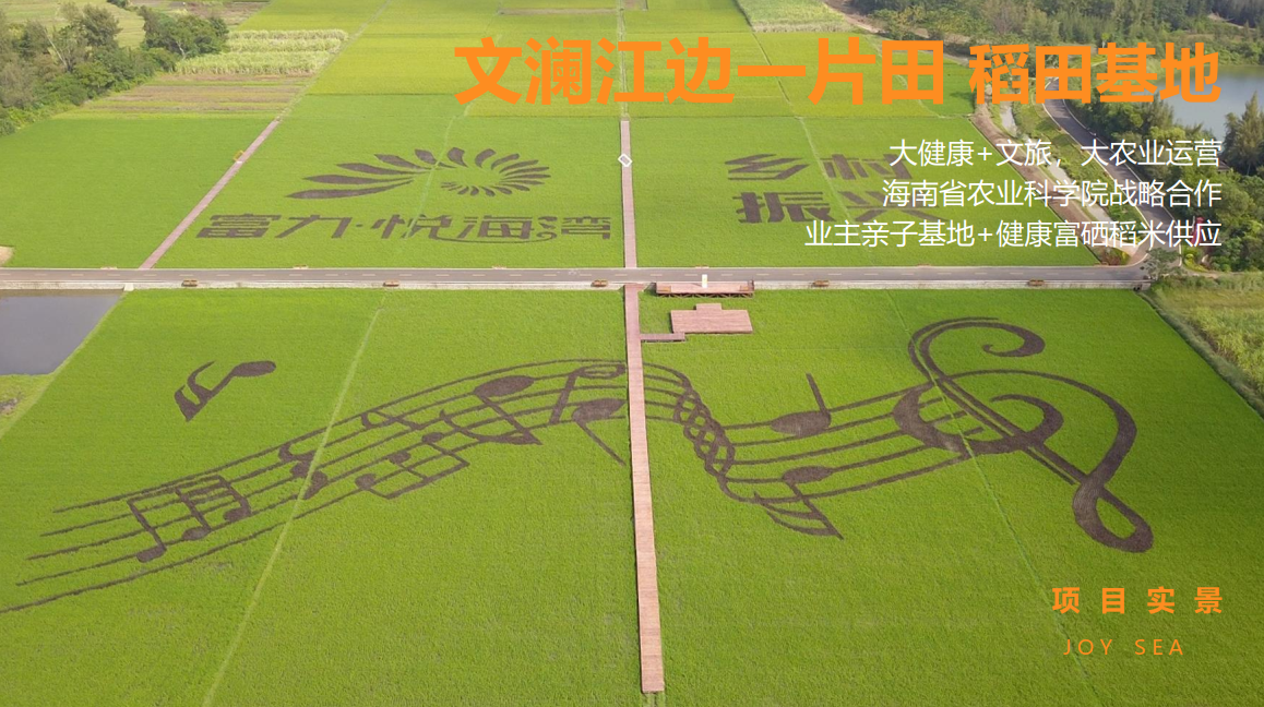 稻田基地