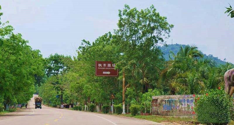 周边配套:宽敞大道1