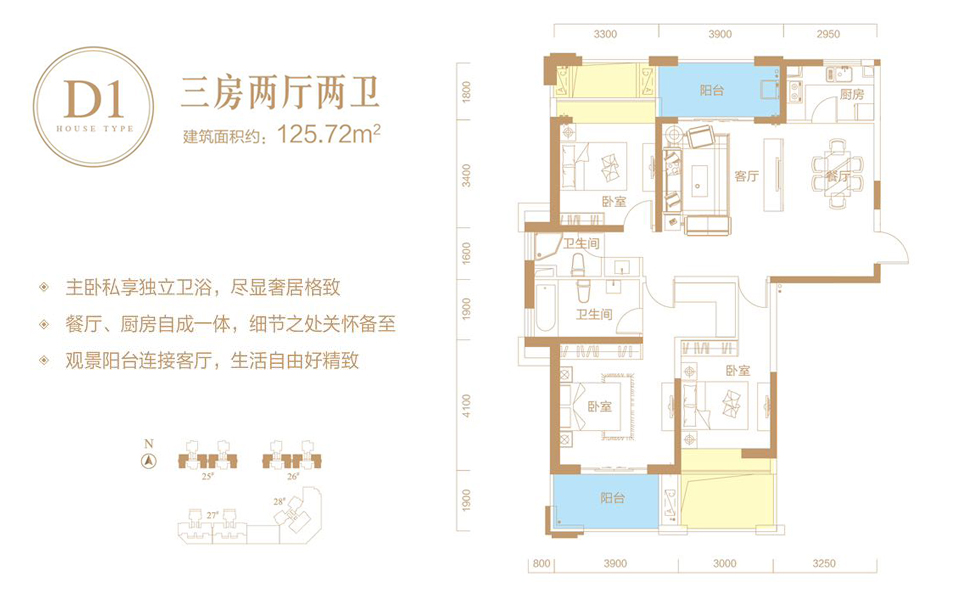 滨海新天地五期-D1户型 3房2厅2卫户型图