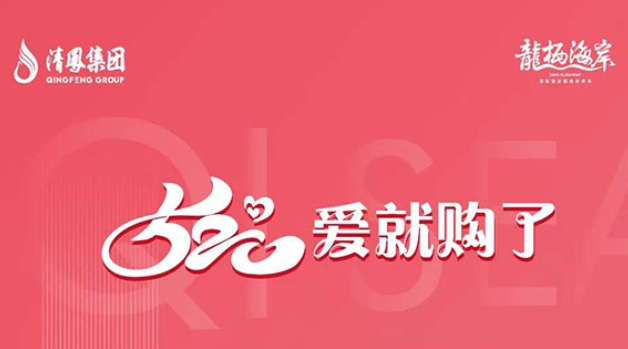 乐东龙栖海岸520特惠，推出4套特惠房源