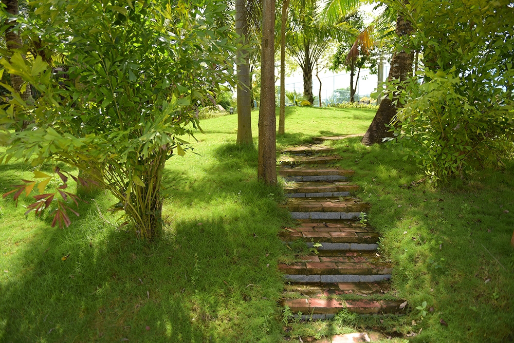 小区园林小道