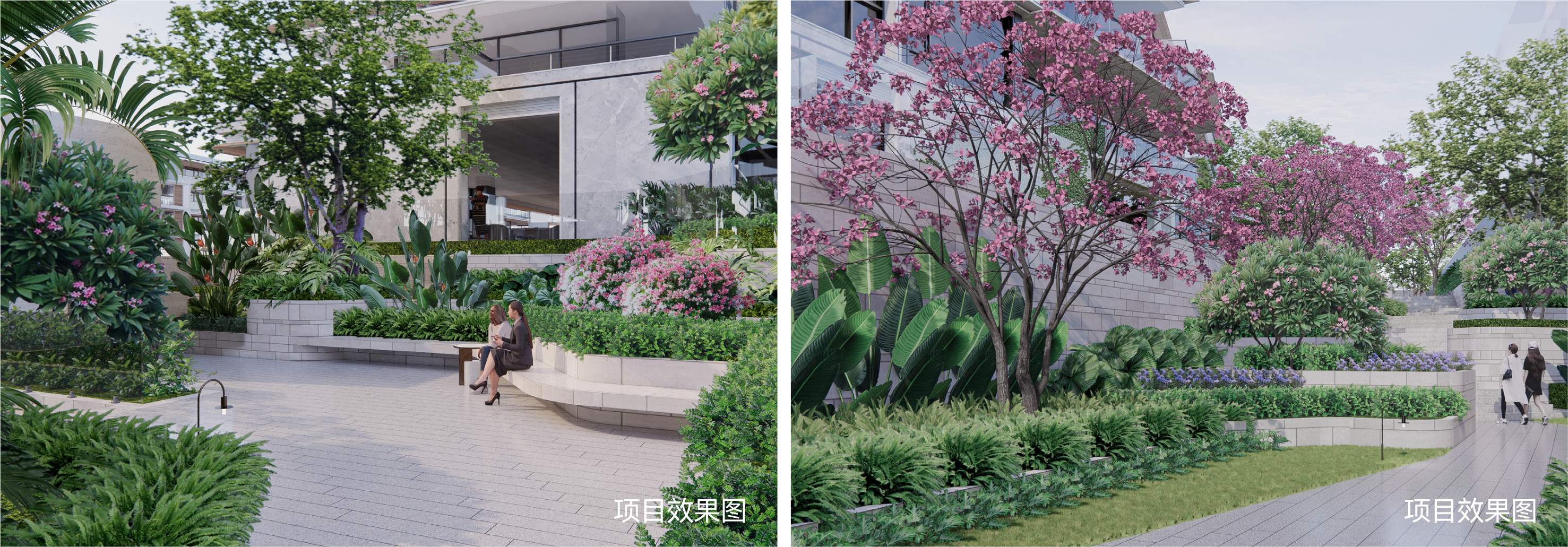 效果图4