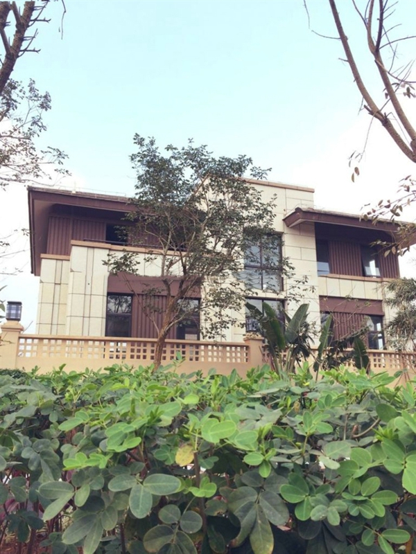 绿城桃李春风实景图05