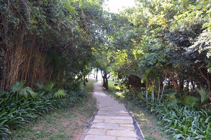 铂悦亚龙湾园林实景图 铂悦亚龙湾园林实景图