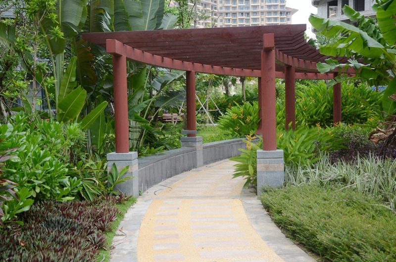 实景图