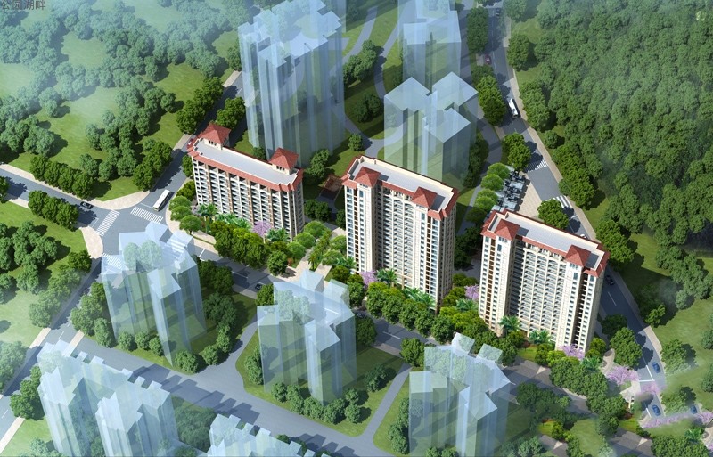 公园湖畔鸟瞰图 公园湖畔鸟瞰图