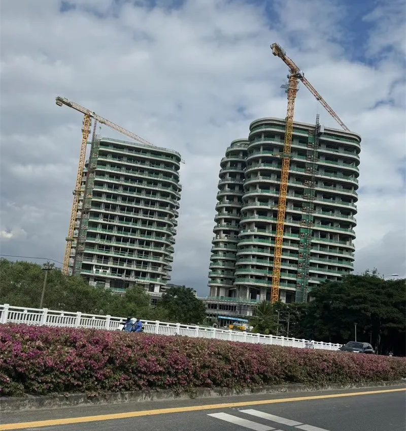 实景图