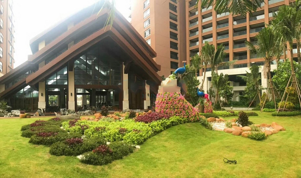 实景图
