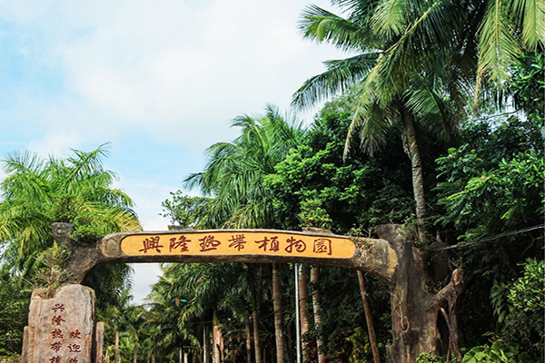 配套-热带植物园 配套-热带植物园