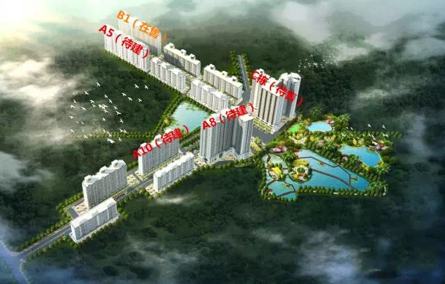 江畔锦城在售楼栋为C栋